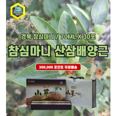 경북 참심마니 산삼배양근 70ML X 30포